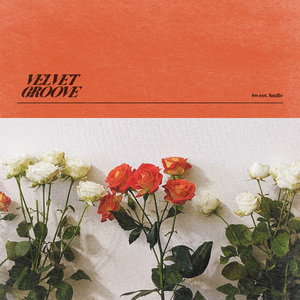 国产99精品视频
